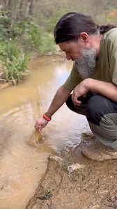 #bushcraft #wildlife #hacks #skills #survival #outdoors #adventure #lifehacks #campinglife #forest | Dogadaki sakal