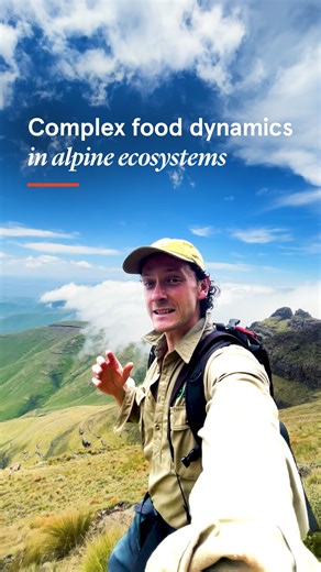 University of Sydney (USYD) | What happens when an animal dies high in the mountains? Is it eaten, does it decompose - and what does that reveal about fragile alpine... | Instagram