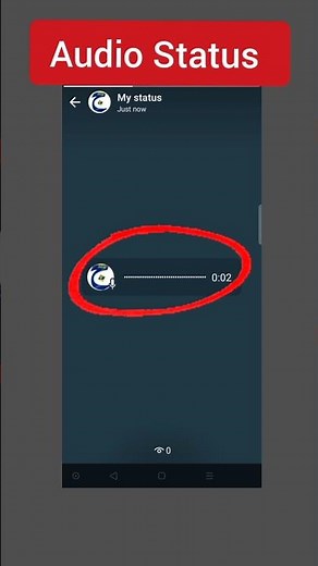WhatsApp Audio Status | How to record & share audio as whatsapp status |