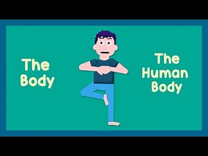 The Body, The Human Body | Body Parts Song | English Learning Songs
