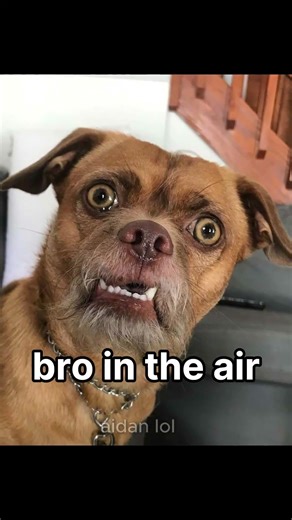 Bro HATES His Job💔🤣#wrestling #wwe #funnysports #fails