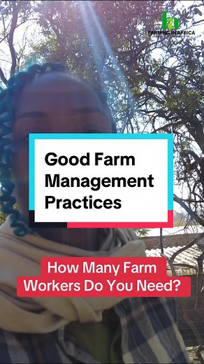 Good farm management prcatices goes a long way to improve your farm. How do you manage your farm? #semanhyiafarms #farminginafrica #goatfarming #workshop #livestock #farmmanagement #webinar