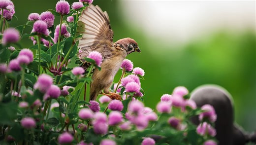 Three Tips to Instantly Improve Your Photos