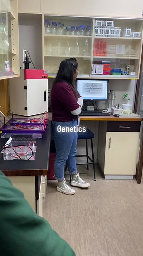 There are more than enough study options to choose from at Stellenbosch University Faculty of AgriSciences. #agronomy #genetics #forestry #woodscience #fypシ゚viral #fypシ