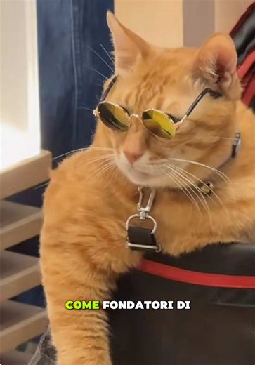 Gli zoomies non servono solo a bruciare energia... possono essere un segno di stress! • Il cervello del tuo gatto è programmato per marcare il territorio con l'odore per motivi di sicurezza. • Ma i tiragraffi e le cucce sintetici perdono il loro odore in poche ore. Ti presentiamo Instinct Basket: una corda naturale che trattiene i feromoni in modo permanente, offrendo al tuo gatto un vero territorio. Dì addio allo stress causato dagli zoomies! Provalo subito. https://zampaball.com/pages/about-us