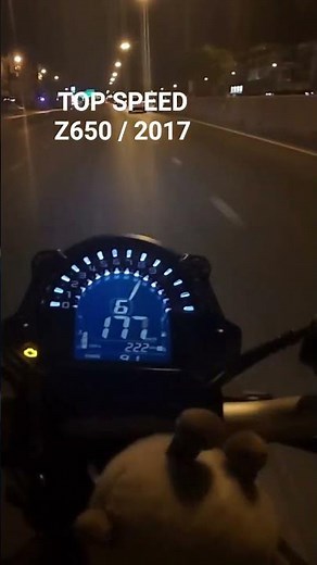 Top speed Test z650 2017