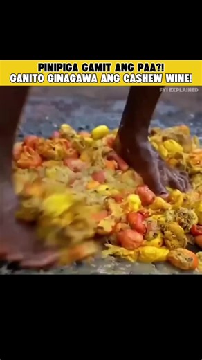 Ganito pala ginagawa ang cashew wine 🤯 #fyp #fyi