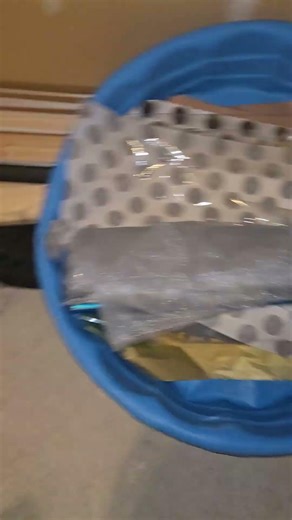 Heavy Mice Activity Found in Furnace Room | Sticky Trap Setup Inspection.