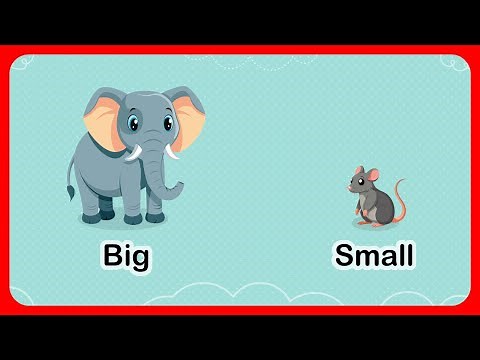 Big and Small concept | Simple Comparison Video for Kids, babies, toddlers, children