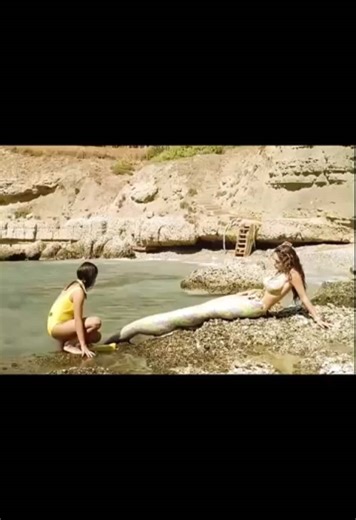 trolls_master on TikTok