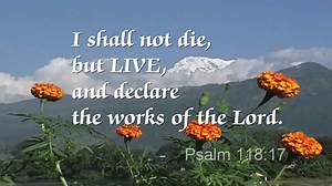 21 Good Bible Verses for Engaged Couples