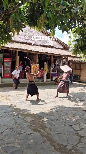 Peresean adalah tradisi pertarungan Adat Sasak Suku Sade di Lombok, yang melibatkan dua pria bertarung menggunakan rotan dan tameng kulit kerbau. #lombok #sukusade #peresean