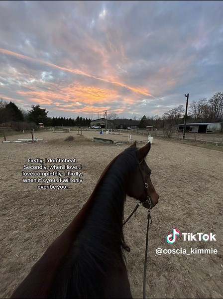 Miss the late sunset rides #horses #bay #gelding #horsesoftiktok #summer #sunset #love #relatable #relationship #western #fyp #fypシ #fypage #fypシ゚viral #appaloosa