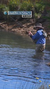28K views · 399 reactions | The joy of sight fishing on the fly -...