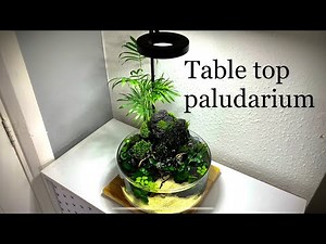 Nano Paludarium aquascape tutorial step by step, table top fish tank with DIY filter and water flow.