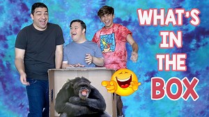 WE ARE BACK WITH ANOTHER CHALLENGE THIS TIME WITH OUR FRIEND, AYDEN! CHECK OUT TO SEE SOME OF THE SURPRISES! Merch: https://golden-heart-321.myshopify.com/ Ayden's Socials: YouTube: https://www.youtube.com/c/AydenMekusOfficial Instagram: https://www.instagram.com/ayden.mekus/?hl=en TikTok: https://www.tiktok.com/@aydenmekus?lang=en Instagram - https://www.instagram.com/valentinebrothers/ TikTok - https://www.tiktok.com/@valentinebrothers?lan... Snapchat - https://www.snapchat.com/add/valentinebr