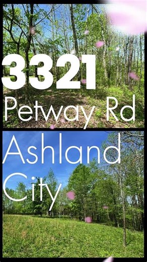 Build Your Dream, Your Way on Petway Road ✨