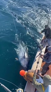 25K views · 187 reactions | Name: Cpt Harry Garrecht AKA...