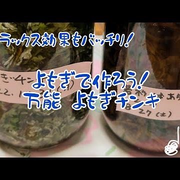 リラックス効果もバッチリ😊簡単にできる★よもぎチンキの作り方★
