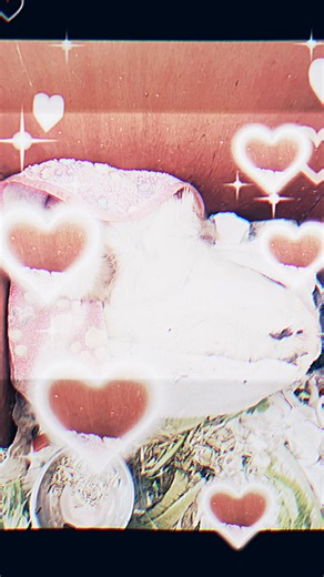 I well all way love you my baby girl