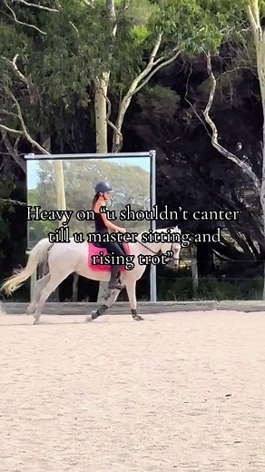 Mastering Basic Equestrian Skills for Beginners