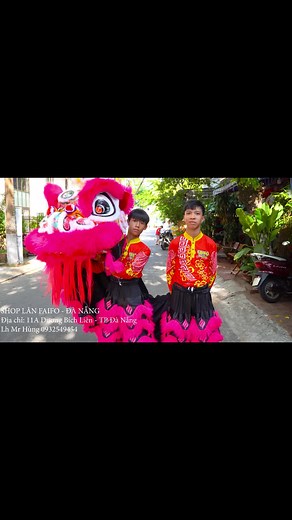 Traditional Lion Dance Performance in Vibrant Costume