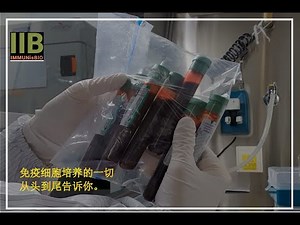 NK细胞培养方法
