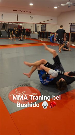 1.8K views | Kampfsportschule Bushido on Reels | Facebook