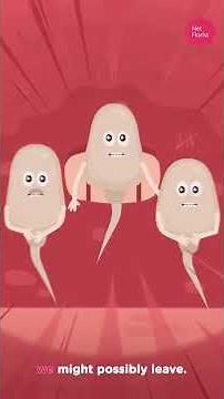 Set Love Free This Valentine's Day