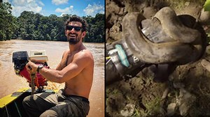 Everything that would've happened to man who tried to get eaten alive by snake if experiment was successful