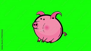 Pig cartoon animated character sitting greenscreen isolated. Hog can run seamless loop. Useful jumping hog not for sausage, but for any animated project. It will bring life to your animation of a farm Stock Video