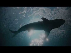 Remotely Operated Manipulator Equipped Ocean Vehicle