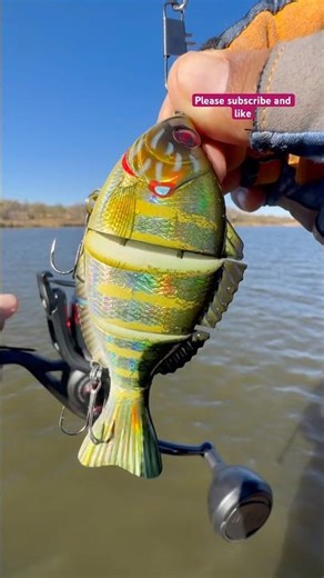 Tips Casting A Spinning Reel Pen with SUNFiSH#fishing#viralvideo#shortsvideo#youtubeshorts#viral