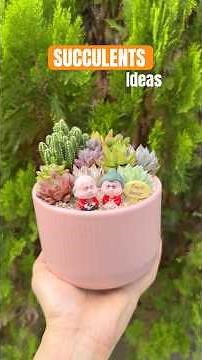 How to Make a Succulent Arrangement 🌵 Easy Guide for Stunning Designs