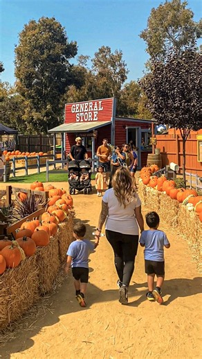 El Dorado Frontier Pumpkin Patch Returns for 2026