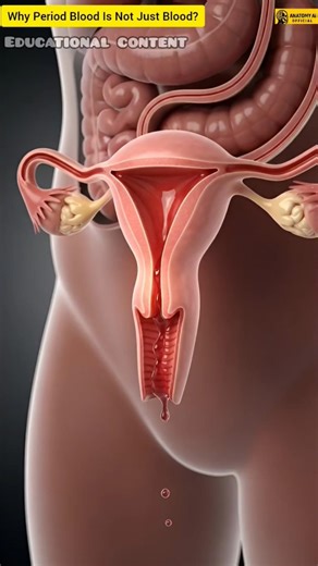 Why Period Blood Is Not Just Blood? 😳 | Menstruation Explained Simply