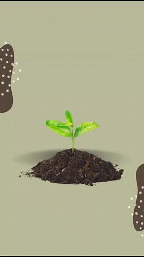 3.2K views | Unlock the Power of Bio-Enzymes for Eco-Friendly...