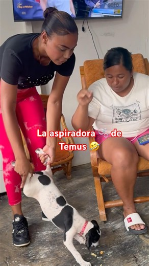 La aspiradora de Temus 🤣 #humor #shorts #temu #comedia #reel #perros #parati