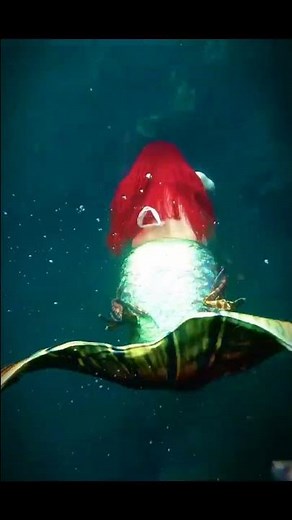 Mermaid captured on video