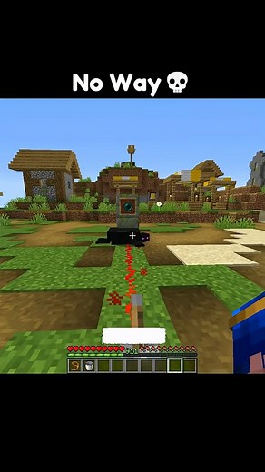 Ender turtle in Minecraft 💀#minecraft | Psgmafia1