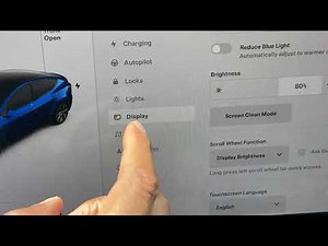 Tesla Model Y - How to Adjust Brightness on Display Monitor (ASMR)