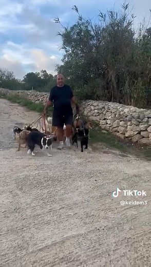 ❤❤🐶🐶 | Talk News