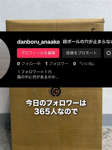そろそろ開通しちゃう？#ダンボール