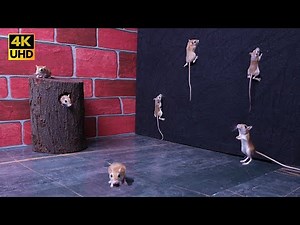 Cat TV Mice Mania | Active Mice game on Screen 4K – Perfect Motion for Cats & Dogs to Watch