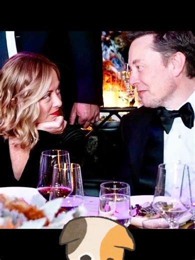 Giorgia Meloni and Elon Musk: A Fascinating Connection