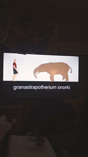 #Gigantopithecus #Paranthropus #granastrapotherium #bubalus