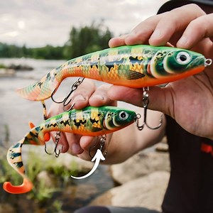 480 reactions · 168 shares | Meet the ‘Son of Otus’. This new downsized hybrid curl tail gives you more options on those tough days, or when you want to offer a smaller meal to a wider range of fish. | Rapala | Facebook