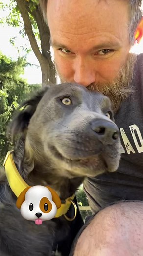 Rynsey ASMR on TikTok