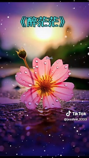 #好歌分享 #闽南语歌曲 #好歌 #经典老歌 #经典歌曲