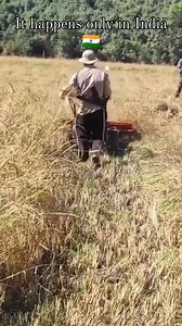 6.9K views · 142 reactions | Harvesting is very tricky in Manipur and Kukiland border areas This ain't Vietnam war era this is Manipur Chief Minister N.Biren Singh footprints.Indian soldier were there too but they won't take bullets for you they all have families to feed. Manipur border guards KCP harvesting crops near Kukiland border. | Zalen Banner | Facebook